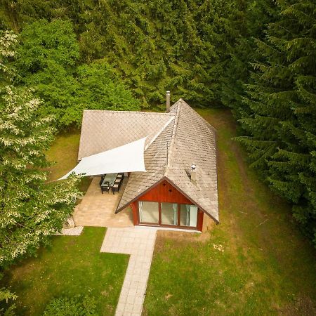 Cebelnk: Sanjska Hisica 4 Km Od Bleda Vila Lesce  Exterior foto
